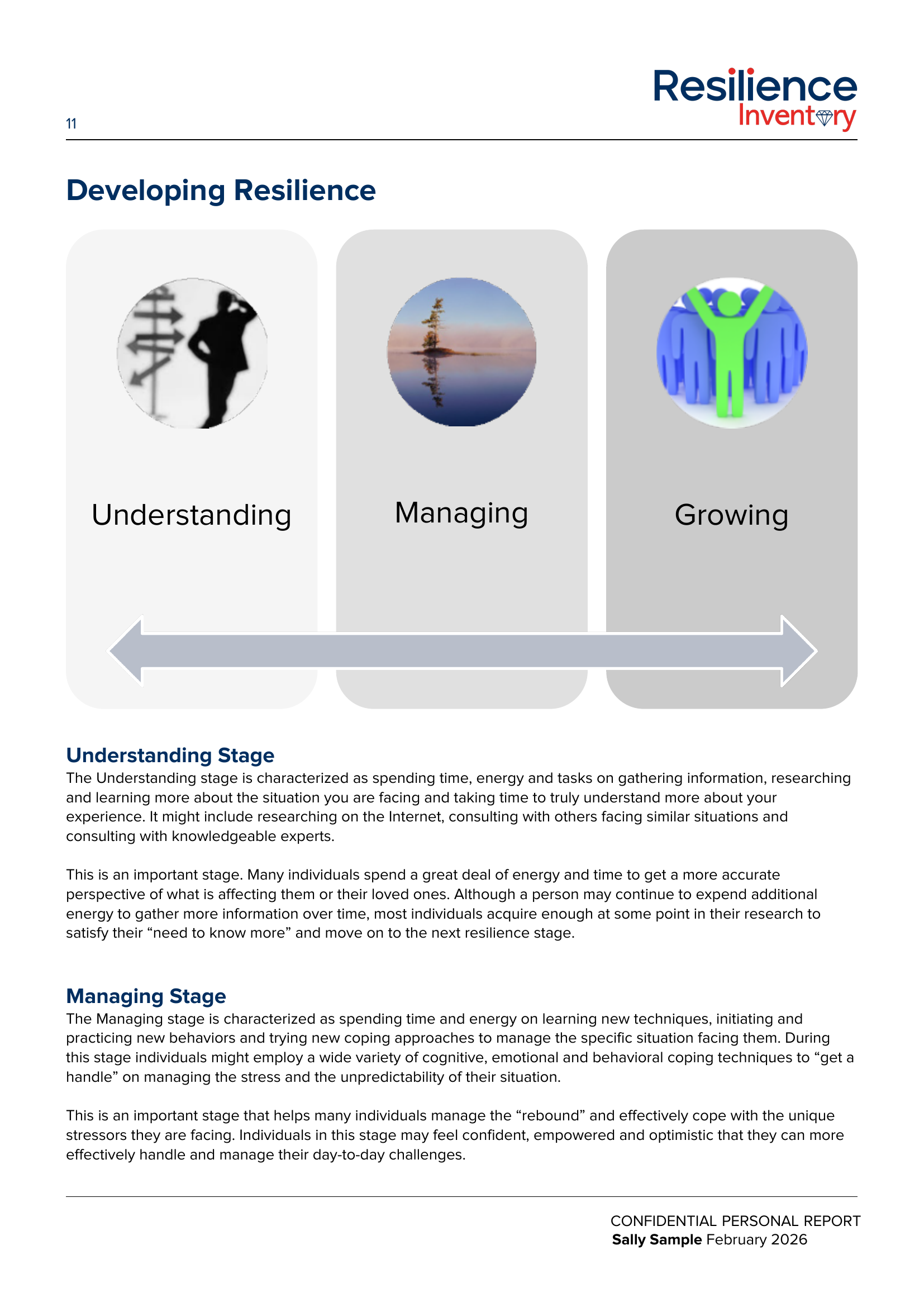 Resilience Inventory report preview