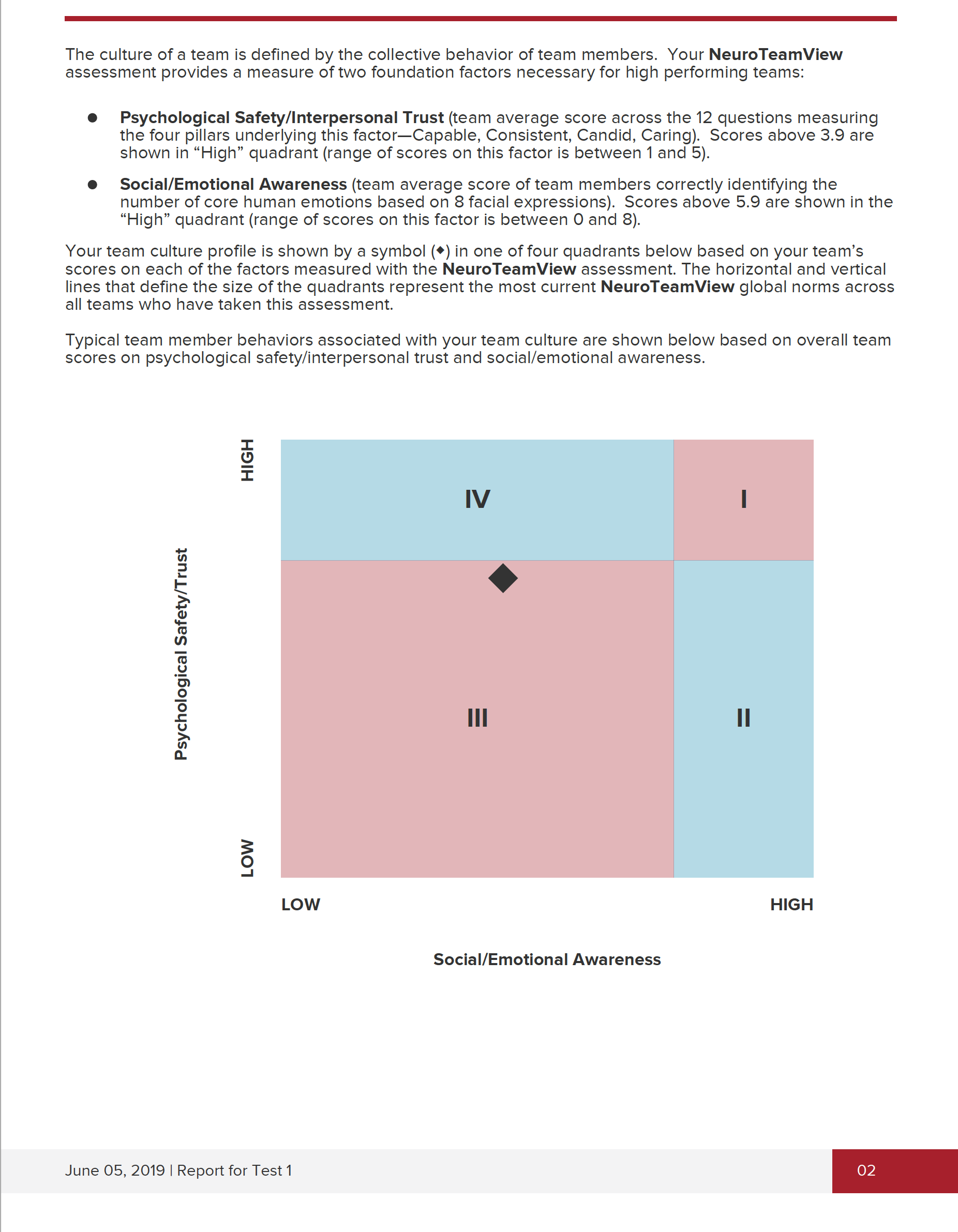 NeuroTeamView Sample Report preview